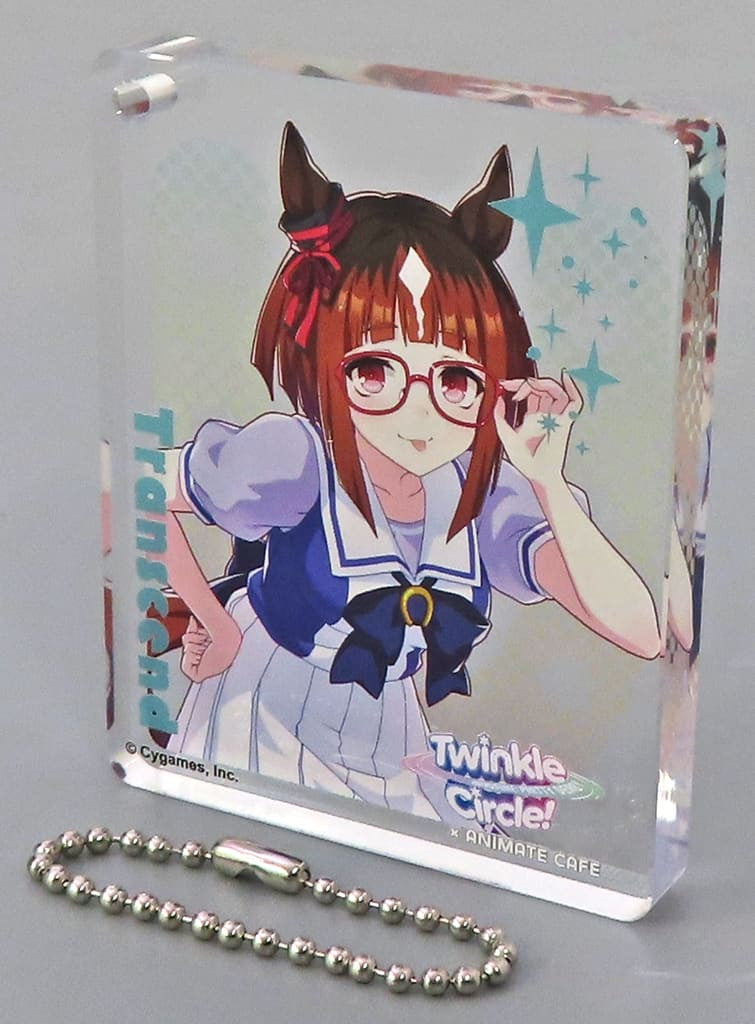 Transcend Trading Acrylic Plate Keychain - Umamusume: Pretty Derby Twinkle Circle! Animate Cafe in Intex Osaka (Cygames) Pre-owned, Chain Missing