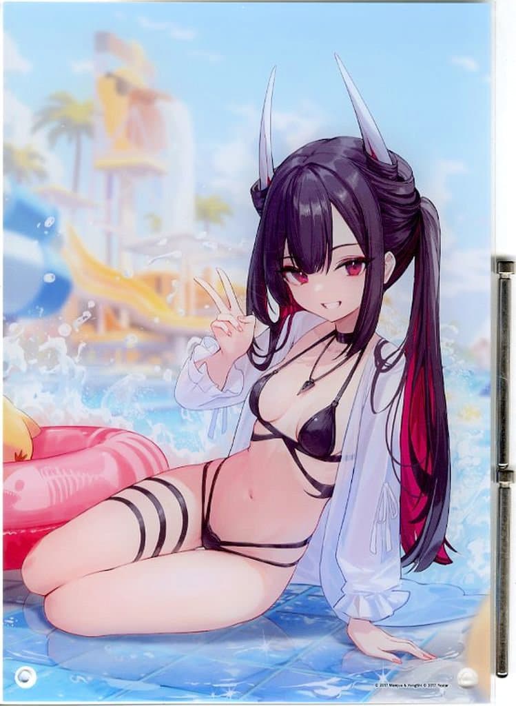 Azur Lane Summer Fair 2025 Acrylic Panel A4 Size by MAGES. Pre-owned Collectible