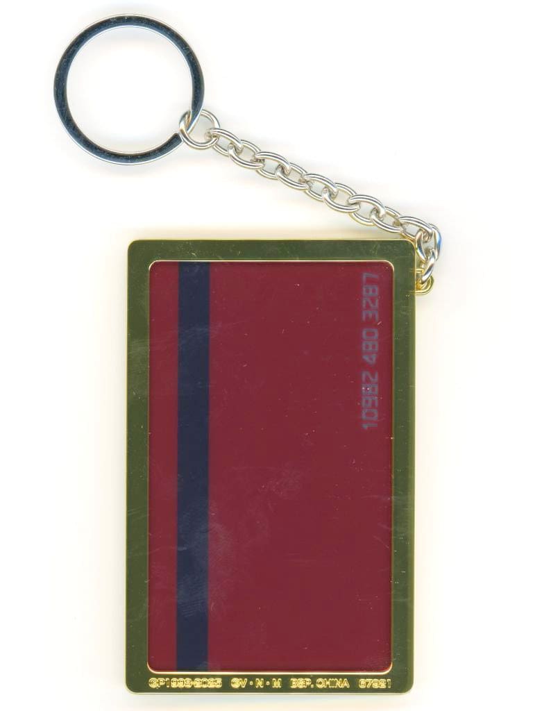 HUNTER×HUNTER Cross the “X-Day” Double Hunter License Keychain