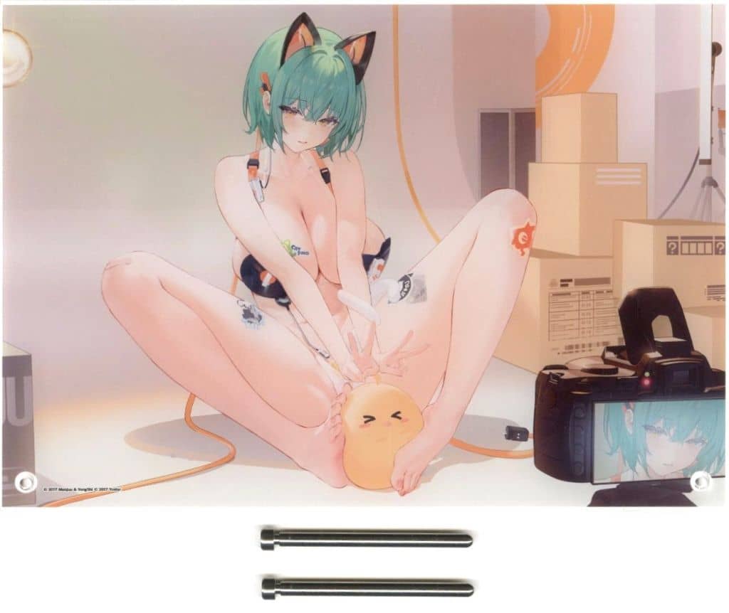 Azur Lane Bunny Fair 2026 Acrylic Panel - A4 Size, MAGES, Pre-owned