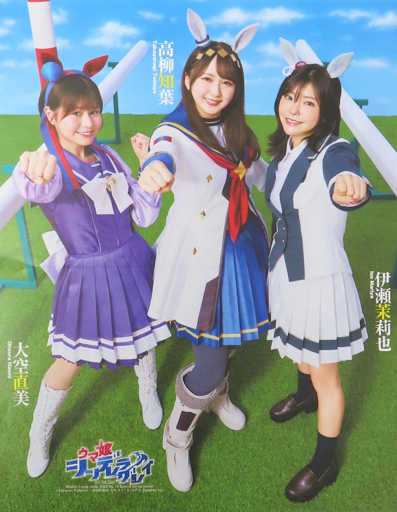 Umamusume Pretty Derby: Cinderella Gray Double-Sided Folded Poster