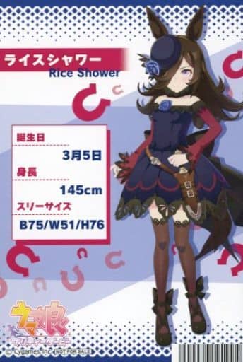 Rice Shower Profile Card — Umamusume Pretty Derby Animate Fair Purchase Bonus (Approx. 155×110 mm) — Pre-owned