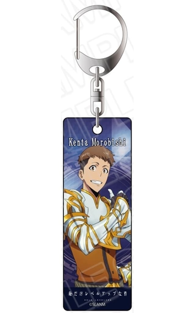 Solo Leveling Yoo Jin-ho Aurora Plate Keychain Acrylic Keychain - Contents Seed (Pre-owned)