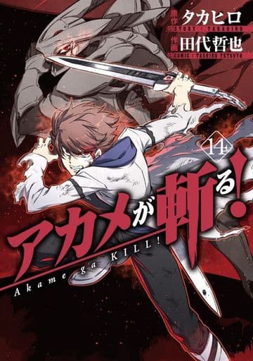Akame ga Kill! Akame Vol. 14 Manga (Used)