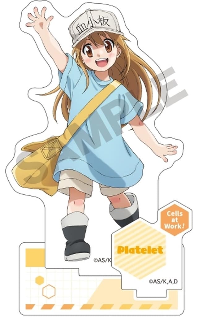 Platelet Acrylic Stand Cells at Work! Acrylic Goods (Pre-owned)