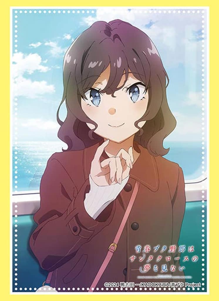 Rascal Does Not Dream Sara Himeji Bushiroad Sleeve Collection High Grade Vol.5094 Card Sleeves - Bushiroad