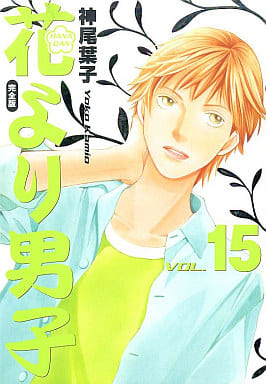 Boys Over Flowers Complete Edition Vol. 15 Manga (Used) by Shueisha