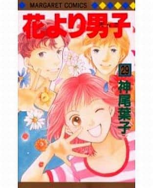 Boys Over Flowers Vol.29 Manga Book (Used)