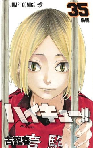 Haikyu!! (Manga) Vol. 35 Book