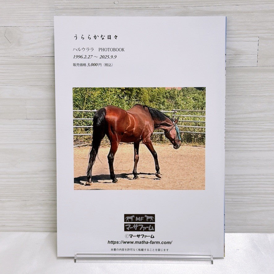 Racehorse Photo Book Set - Gold Ship, Oguri Cap, Meisho Doto, Haru Urara (4 Books)