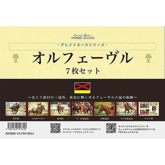 Orfevre Clear File Set (7 Pieces) - Japanese Racehorse Goods