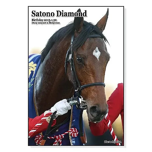 Satono Diamond Horse Jigsaw Puzzle - Japanese Racehorse Goods