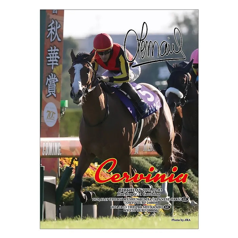 Cervinia Horse Jigsaw Puzzle, 500 Pieces - Japanese Racehorse Goods