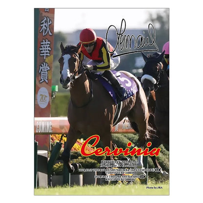 Cervinia Horse Jigsaw Puzzle, 500 Pieces - Japanese Racehorse Goods