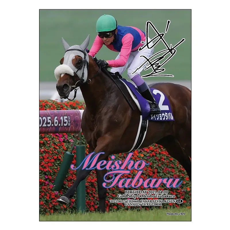 Meisho Tabaru Horse Jigsaw Puzzle - Japanese Racehorse Goods