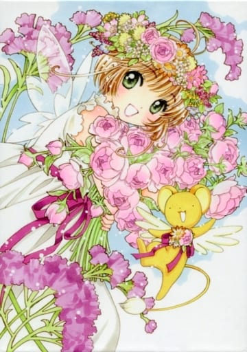 Sakura Kinomoto Cardcaptor Sakura DVD BOX - Initial Limited Edition 11-Disc Widescreen, 4K New Master (Warner Bros. Home Entertainment)