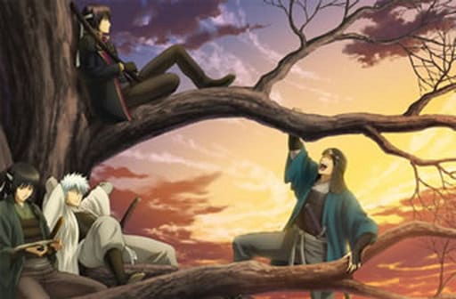 Gintama Volume 8 Anime DVD Complete Production Limited Edition - Aniplex, Used