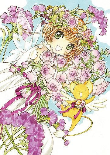 Cardcaptor Sakura Blu-ray BOX (First Press Limited Edition) - 11-Disc Approx. 35 mm New Master - Warner Bros. Home Entertainment (Pre-owned)