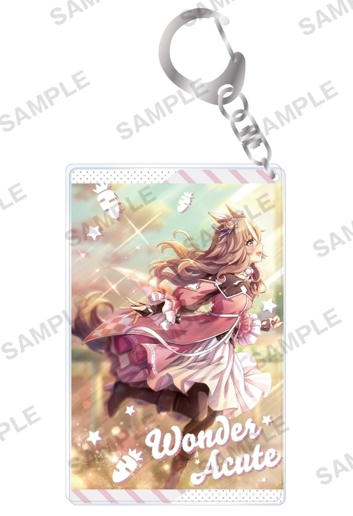 Umamusume Pretty Derby Chararium Acrylic Keychain Vol.4 - Bushiroad Creative Acrylic Key Holder 55×86mm (Used)