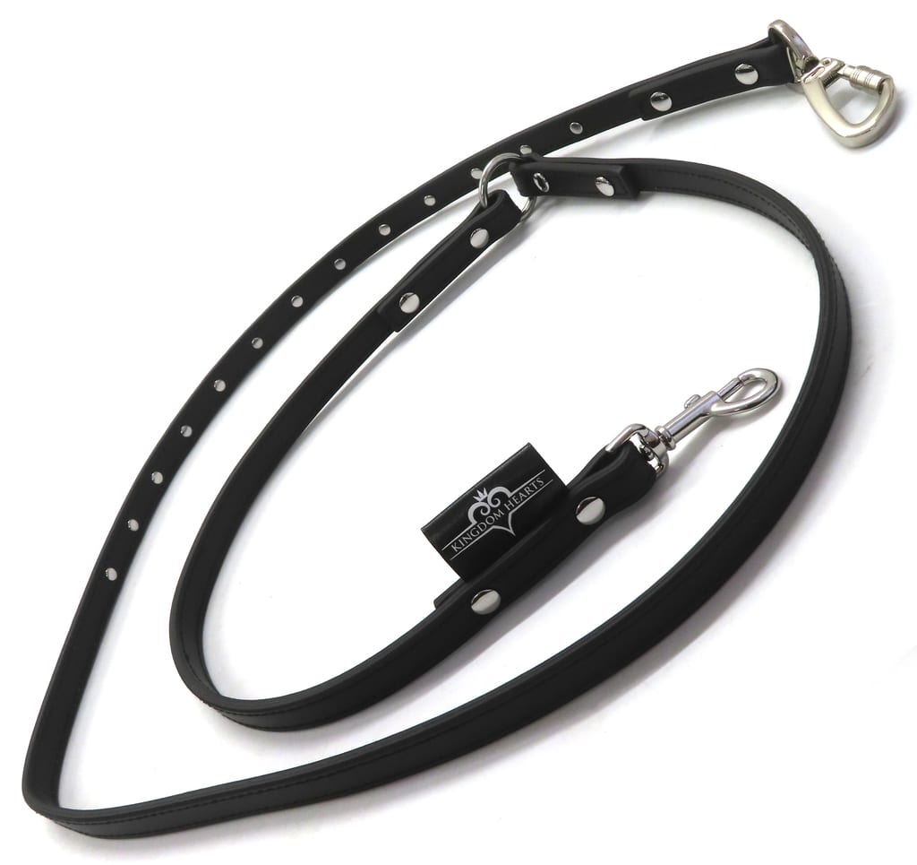 KINGDOM HEARTS PETs Monogram Pet Leash