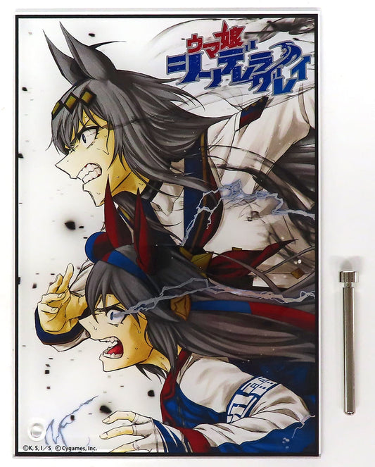 Oguri Cap & Tamamo Cross Sparkle Foil Acrylic Plate - Umamusume: Cinderella Gray (Suzuki Shoji) 21×14.5cm Pre-owned