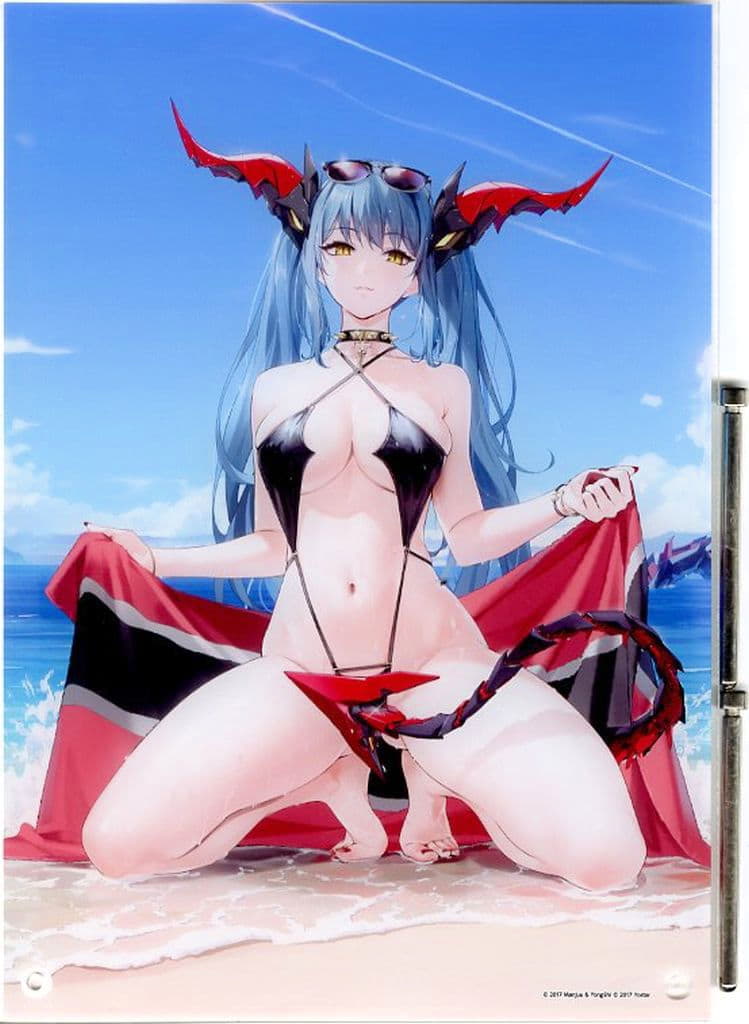 Azur Lane Summer Fair 2025 Acrylic Panel, A4 Size, MAGES. Pre-owned