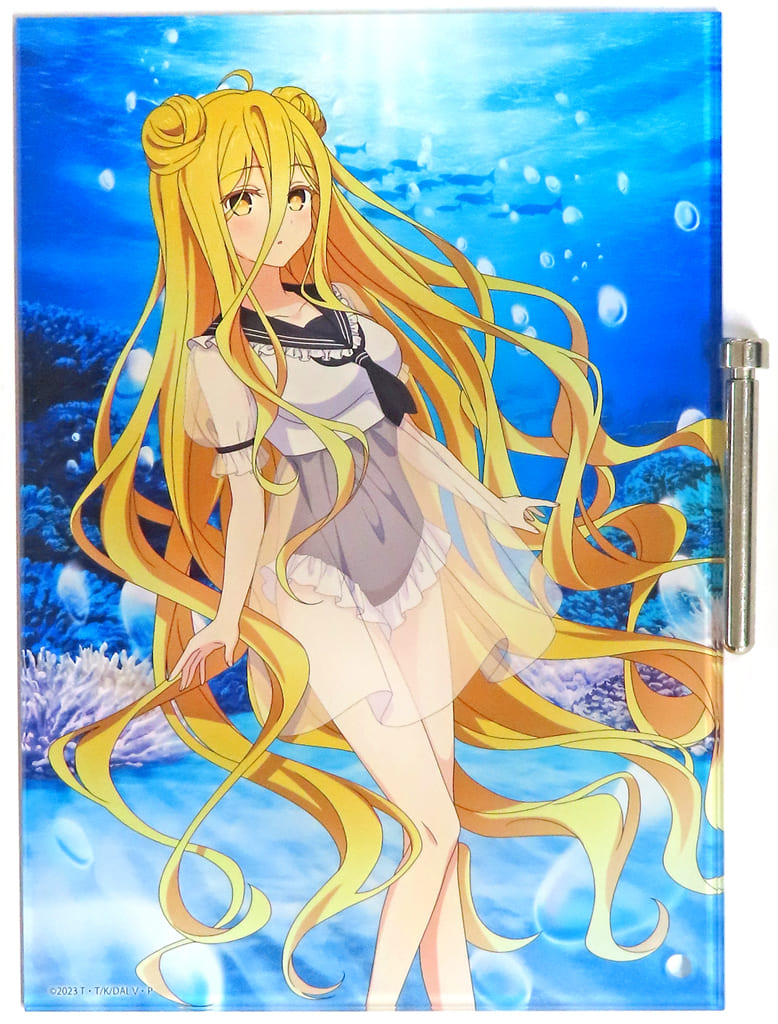Mukuro Hoshimiya Marine Ver. Mini Acrylic Art - Date A Live V