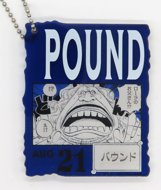Pound Acrylic Block Charm - Ichiban Kuji ONE PIECE BASE SHOP 366DAYS OF BIRTHDAYS (Jul–Sep) Prize by BANDAI SPIRITS - Approx. 8.5 cm (Pre-owned)