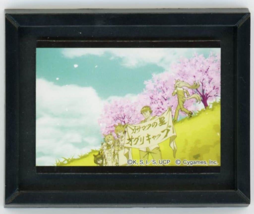 Group (Sakura) Frame Magnet Collection - Umamusume: Cinderella Gray EXHIBITION 'Tracks of the Monster' - Movic (Pre-owned)