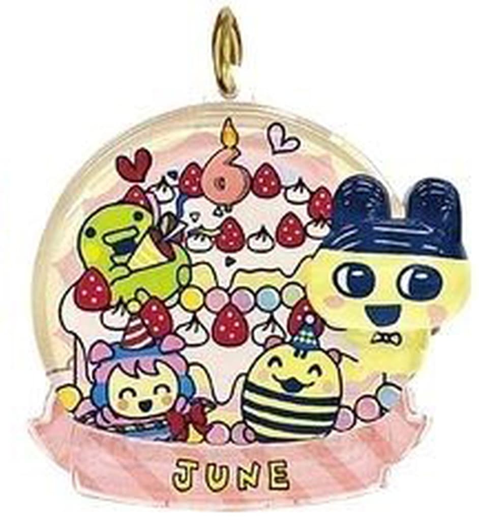 Tamagotchi June Birthday Clear Acrylic Keychain