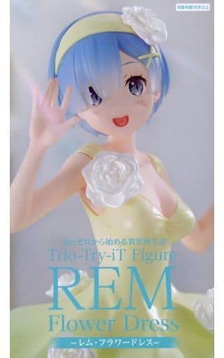 Rem:ZERO -Starting Life in Another World- Flower Dress Figure