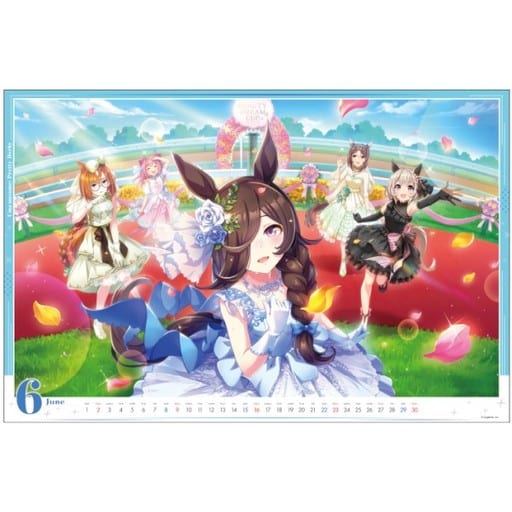 Umamusume Pretty Derby 2024 Calendar - Ensky B3 Wall Calendar (14 Sheets, 364×515 mm) - Used