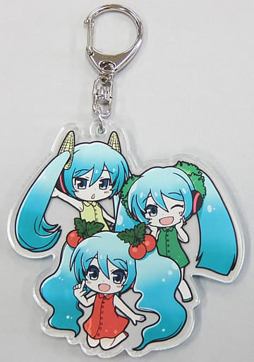 Hatsune Miku Vegetable Day SD Ver. (Tomato Center) Acrylic Keychain - NewDays×Hatsune Miku 831 Collab Shop - Approx. 12 x 8 cm (Pre-owned)