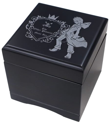 Roxas The Other Promise Music Box Kingdom Hearts