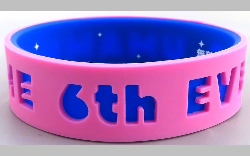 Tokai Teio Official Trading Silicone Wristband - Umamusume Pretty Derby 6th EVENT The New Frontier (Autumn Performance Ver.) — Cygames