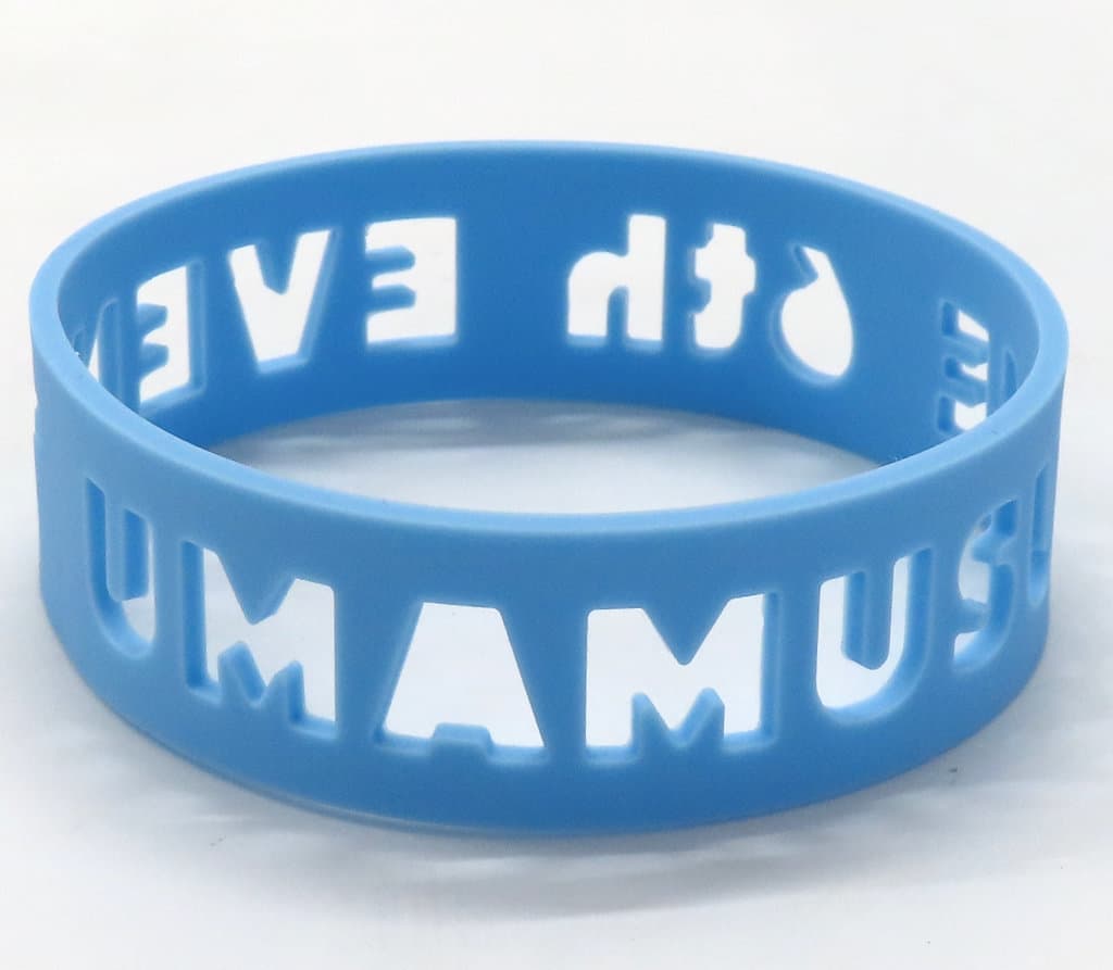 Still in Love Official Trading Silicone Wristband - 6th EVENT The New Frontier Autumn Ver. (Cygames) - Umamusume Pretty Derby