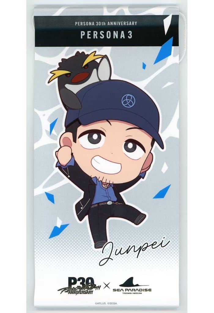 Junpei Iori Mini Tapestry Persona 3