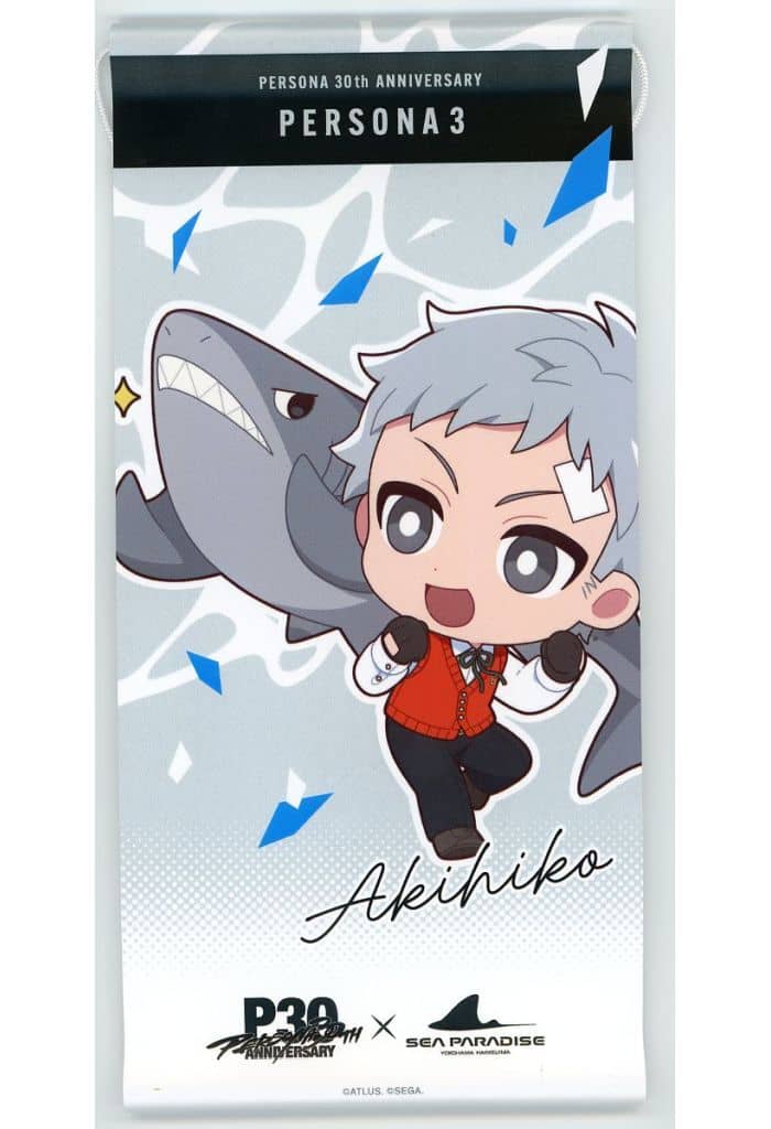 Akihiko Sanada Persona 3 Mini Tapestry