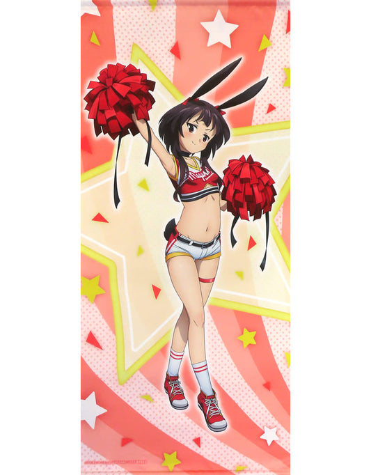 Megumin Big Tapestry – KonoSuba 3 Online Lottery S-1-2 Prize
