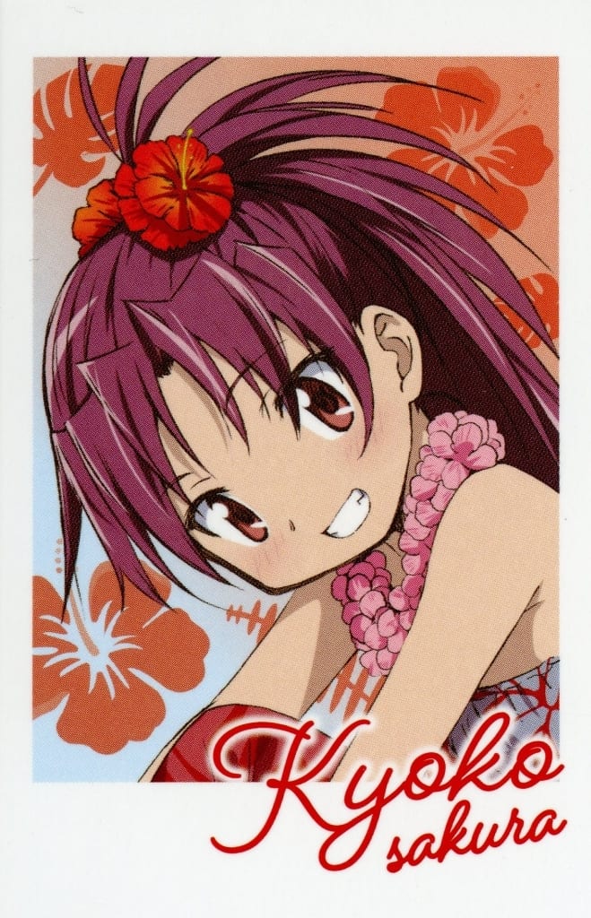 Kyoko Sakura Photo-style Card - Puella Magi Madoka Magica × Lawson Photocard (Approx. 85 x 55 mm) - Pre-owned