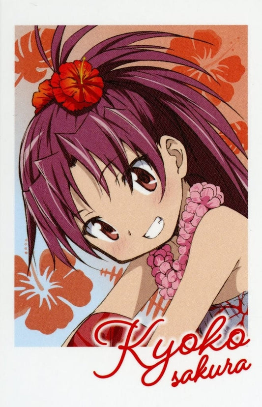 Kyoko Sakura Photo-style Card - Puella Magi Madoka Magica × Lawson Photocard (Approx. 85 x 55 mm) - Pre-owned