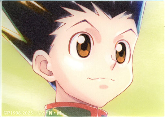 Gon Freecss Acrylic Card - HUNTER×HUNTER Ani-Art Animate Fair in 2025 Trading Ani-Art aqua label Vol.2 - Approx. 70 x 50 mm (ARMA BIANCA, Pre-owned)