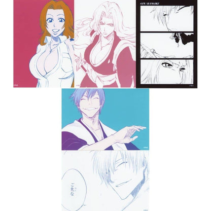BLEACH Bromide Photo Print Set of 5, Complete Set, L-Size, Shueisha, Pre-owned
