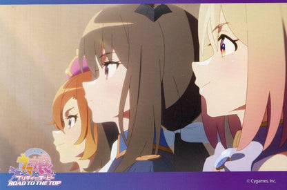 Umamusume Pretty Derby — ROAD TO THE TOP Blu-ray Amazon.co.jp Bundle Bonus: Fold-out Backing Board Postcard 5-Set (Used)
