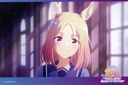 Umamusume Pretty Derby — ROAD TO THE TOP Blu-ray Amazon.co.jp Bundle Bonus: Fold-out Backing Board Postcard 5-Set (Used)