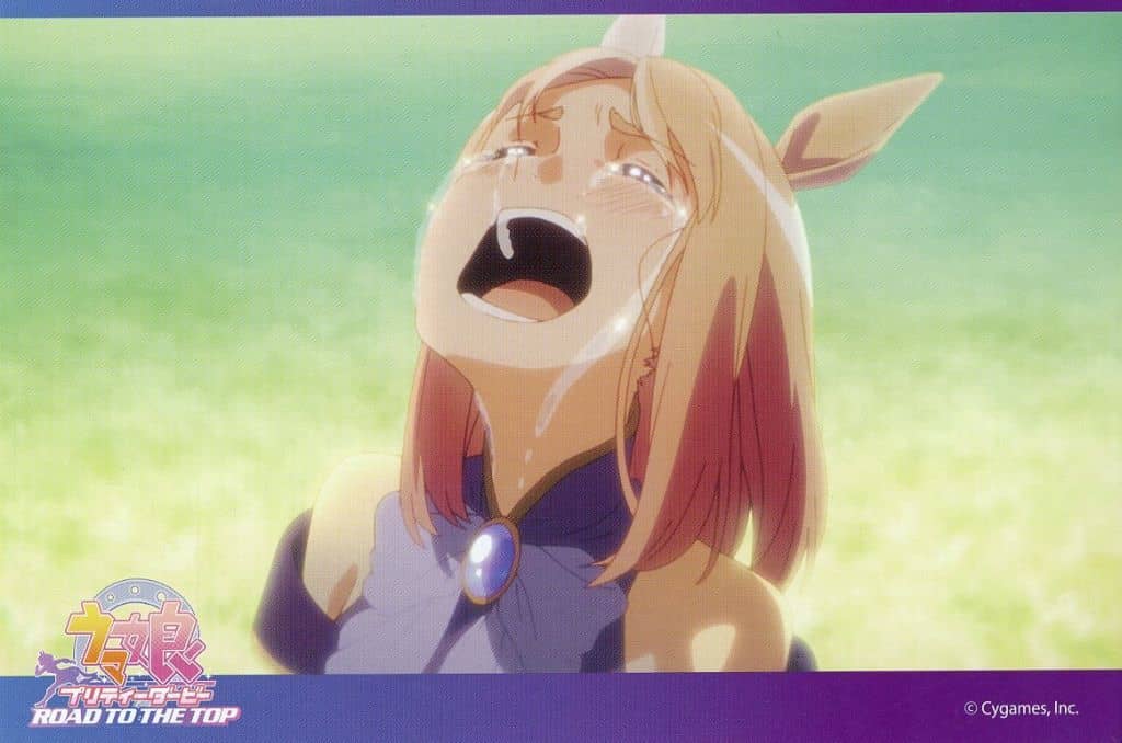 Umamusume Pretty Derby — ROAD TO THE TOP Blu-ray Amazon.co.jp Bundle Bonus: Fold-out Backing Board Postcard 5-Set (Used)