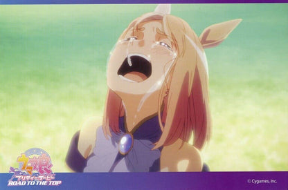 Umamusume Pretty Derby — ROAD TO THE TOP Blu-ray Amazon.co.jp Bundle Bonus: Fold-out Backing Board Postcard 5-Set (Used)