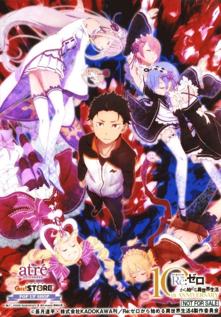 Re:Zero 1st Season Key Visual Bromide L-Size