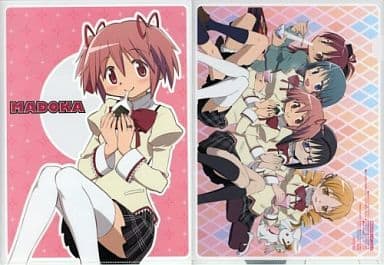 Puella Magi Madoka Magica A4 Clear File - Animedia Feb 2012 Bonus (Gakken, Pre-Owned)