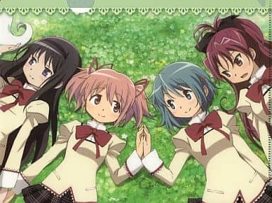 Puella Magi Madoka Magica Clear File A4 - Monthly Newtype June 2012 Bonus (Kadokawa Shoten, Pre-owned)